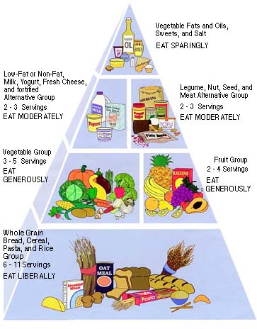Healthy Food Pyramid Worksheets