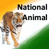 National Animal of India