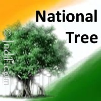 National Tree of India