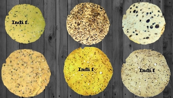 Appetizers - Papad