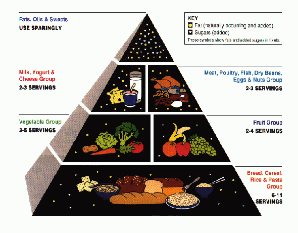 food pyramid worksheets for kids. pyramid for kids - food