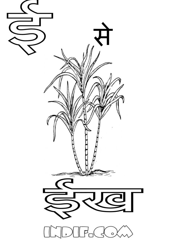 Hindi Alphabets Coloring Sheets and Pages