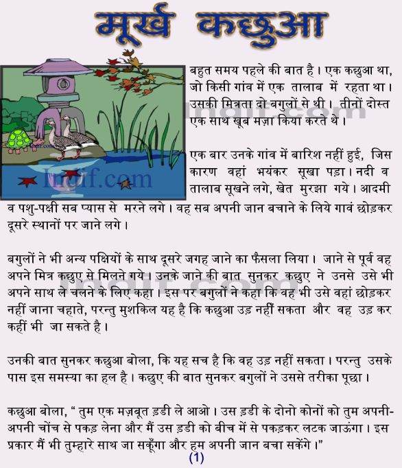 Moorakh Kachuha Story