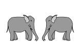 Elephants