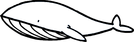 Color the Whale