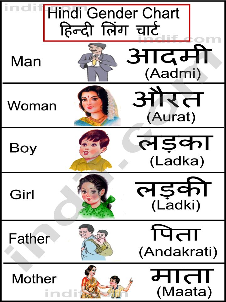 Hindi Gender Chart