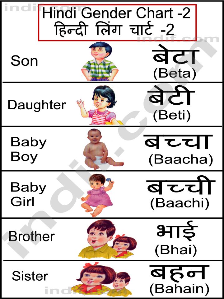 Hindi Gender Chart