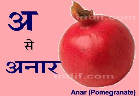 anar.jpg