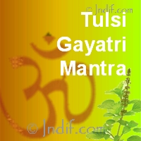 Tulsi Gayatri Mantra