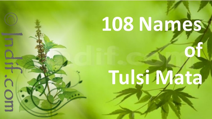 108 Names of Tulsi by Indif.com