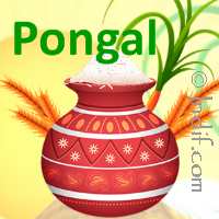 pongal