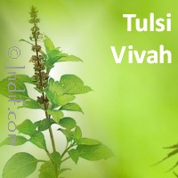 Tulsi Vivah