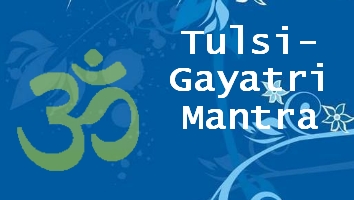 Tulsi Gayatri Mantra