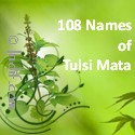 108 Names of Tulsi Ma