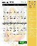 January 2011 Hindu Calendar