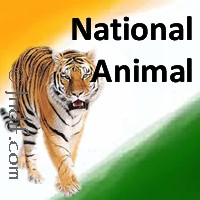 National Symbols of India