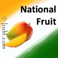 National Fruit of India