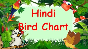 Hindi Birds Chart, हिन्दी चिड़ियों का चार्ट, Basic Birds from India