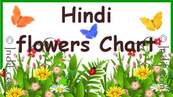 Hindi Flowers Chart for kids