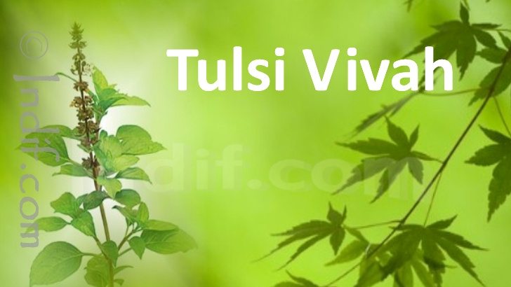 Tulsi Vivah 